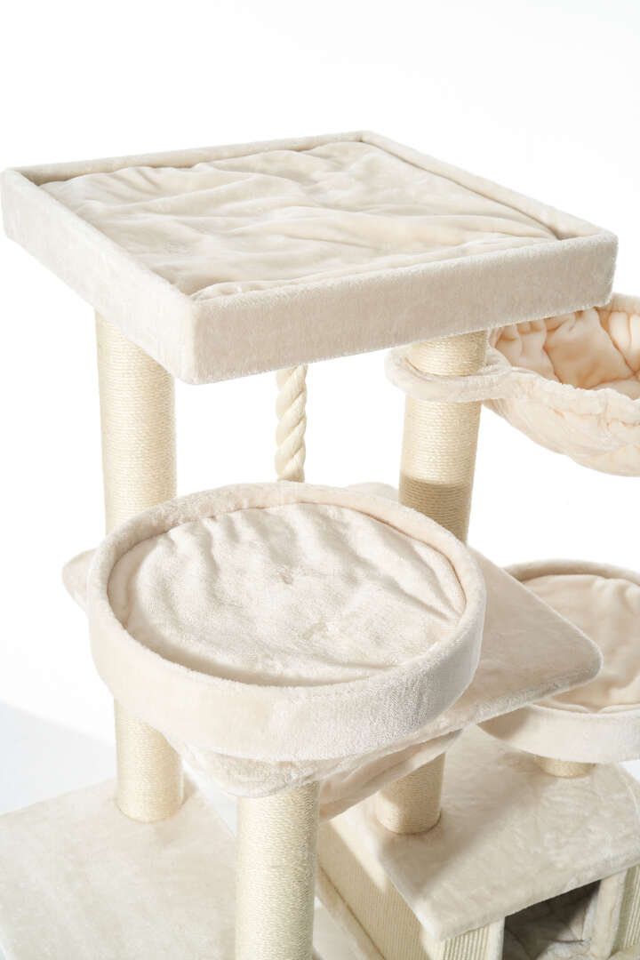 Nobby Kratzbaum Vago